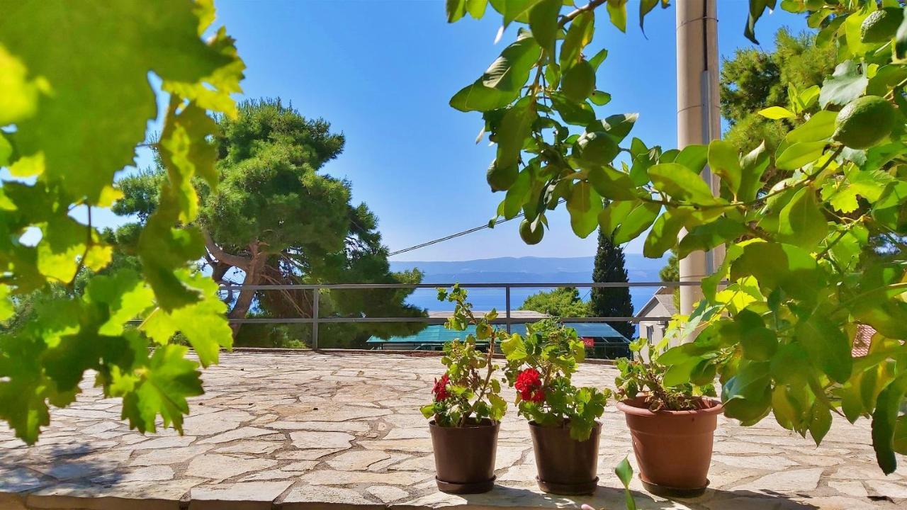 Apartments Gajo Omiš Zewnętrze zdjęcie