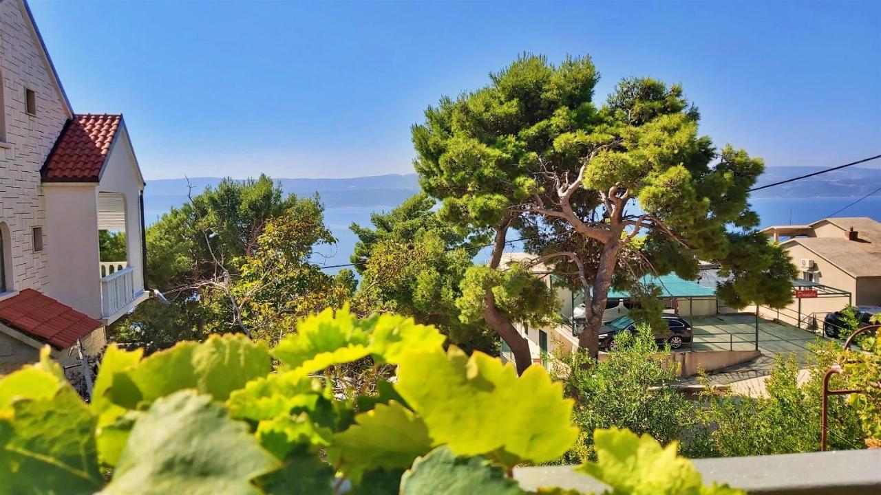Apartments Gajo Omiš Zewnętrze zdjęcie